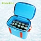 cooler bag